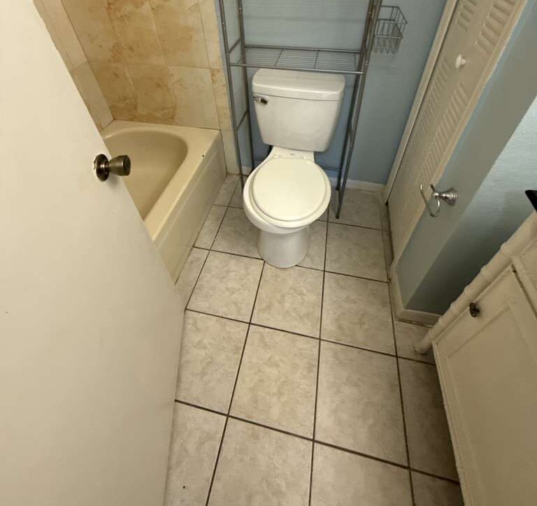 Bathroom — Tub, toilet, and tile scrubbed and sanitised. Go2 Workers deep cleaning, Winter Park, FL