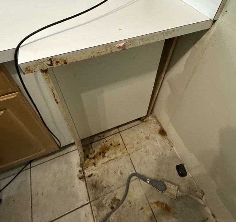 Before: kitchen counter & floor before a Go2 Workers deep cleaning in Winter Park, FL