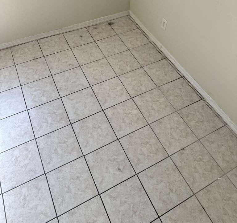 Before: tile floor & grout before a Go2 Workers deep cleaning in Winter Park, FL
