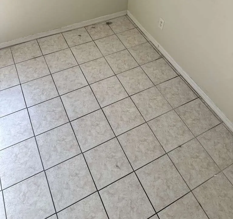 Before: tile floor & grout in a Winter Park home before a Go2 Workers deep cleaning